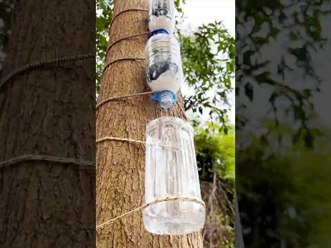Purify Water LIKE MAGIC In Minutes With These Tricks!