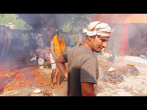 Sri Krishna Puja karaha Bhagat shyambali kasidasbaba puja