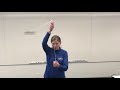Centripetal Force and Motion Lab