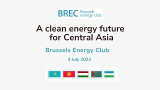 Panel IV: Green hydrogen, solar energy, wind, and other new clean renewable alternatives