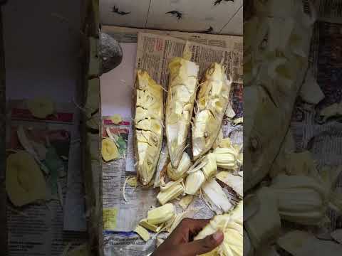 Jackfruit cutting style - AMAZING FRUITS CUTTING SKILLS - simple and shortcut jackfruit cut #shorts