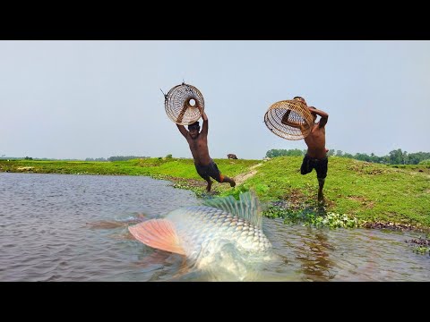 The two boys caught a few catfish with polo from the water of the beel in an extraordinary way