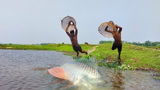The two boys caught a few catfish with polo from the water of the beel in an extraordinary way