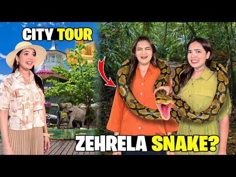 Zehreela Snake Hath Mein Pakar Liya?😰🐍|Colombo City Tour🇱🇰😍|Sari Raat Fireworks Chalay🎇🤩|Sistrology