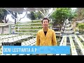 Perawatan Tanaman Hidroponik
