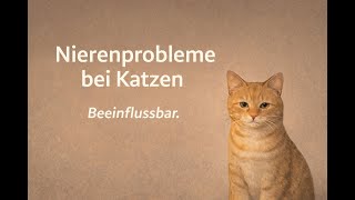Nierenerkrankungen bei Katzen: Das beginnt viel früher, als du denkst