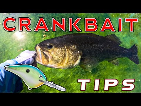 3 Crankbait Tricks For Summer Bass Fishing!