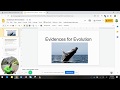 Evolutionary Biology Concepts