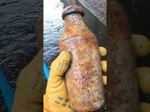 Diving a 300 year old Graveyaed