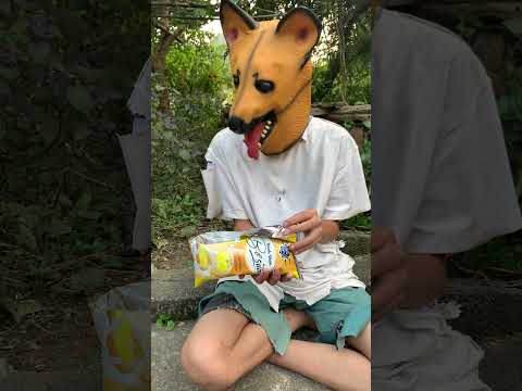 Hai chú chó tội nghiệp /two poor dogs #trending #funny #viral #dog