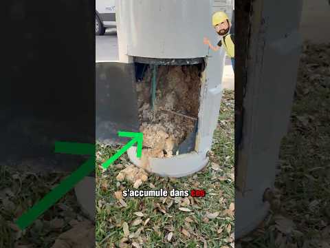 Découpage d’un Chauffe-Eau : Ce Qui Se Cache à l’Intérieur !