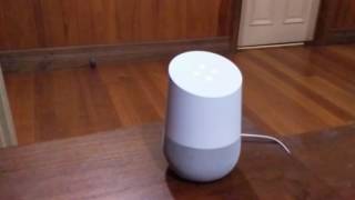 Google home Rick and Morty Easter egg!