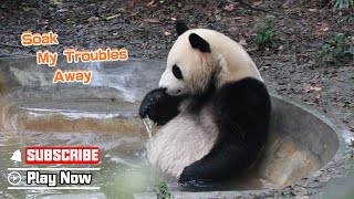 A Relaxing Bath Makes All My Worries Go Away | iPanda
