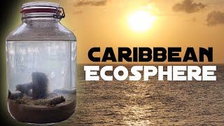 The Caribbean Ecosphere - Making a Closed Ecosystem in a Jar (Salt Water)