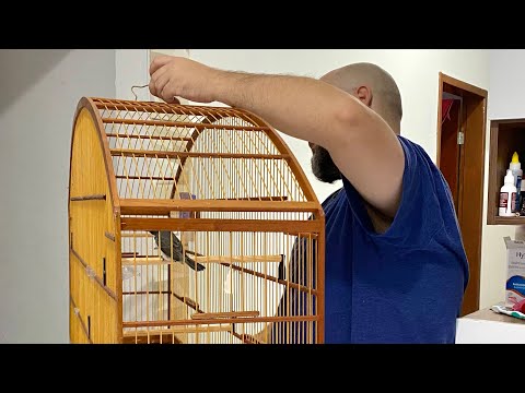 FIZ O QUE DEVERIA SER FEITO! O RESULTADO COMEÇOU 