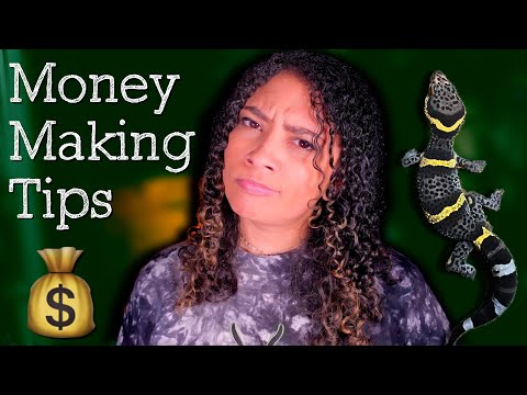 Make Extra Money While Keeping Reptiles | Tips!