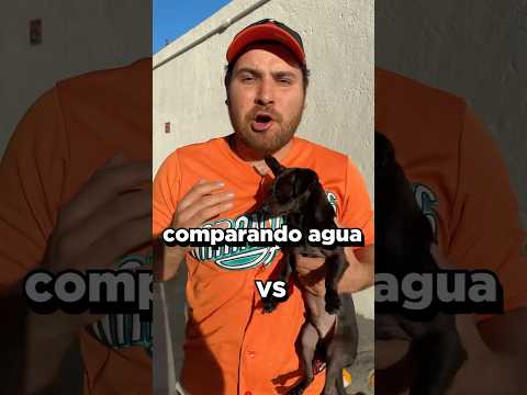 Agua Barata🆚Agua Cara💰¿Cuál es más rica?