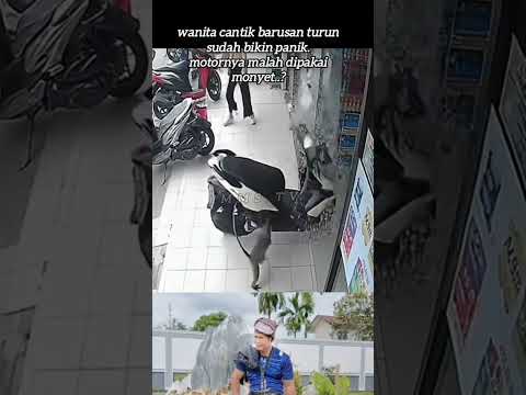 motornya malah dipakai beruk..!!
