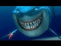 Understanding the Video Transcript