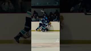 weave 💥🔫#hockey#hits