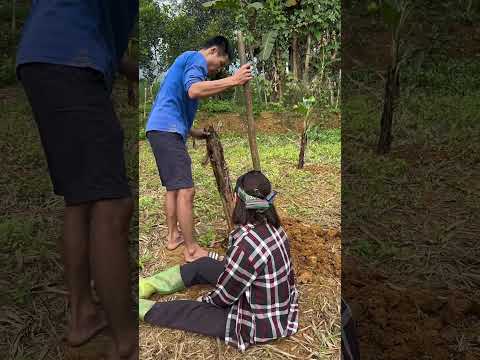 Xin đi tắm biển thôi làm gì mà căng #thinhhanh #xuhuong #viralvideo #funny #shorts