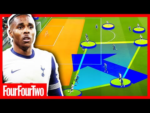 Why Tottenham Wanted Mathys Tel So Badly