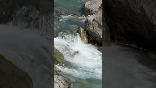 Beautiful sound #nature #waterfall #pnw #relaxing