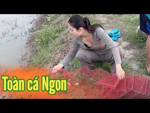 Cô Gái Quê ✅ Đi Thăm 12 Cửa ngục Cuối Vụ Lúa Dính Toàn Đặc Sản Miền Tây