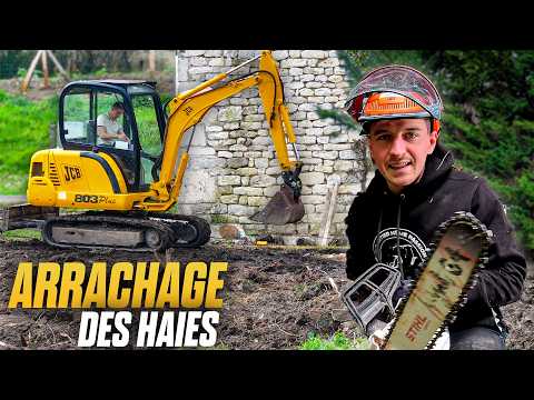 J'ARRACHE LES HAIES DE NOTRE FUTURE MAISON