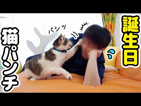 誕生日のパパにお世話を任せたら‥ささみの反応が衝撃すぎたｗｗｗ