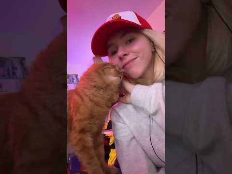 Ich kaufe meiner Katze einen eigenen Laptop 💻💸