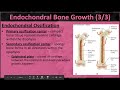 Bone Growth and Remodeling Concepts