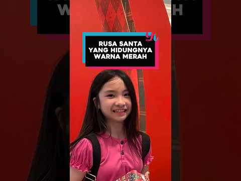 RUSA SANTA YANG HIDUNGNYA WARNA MERAH #funny #misterybox #christmas