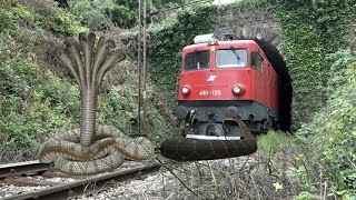 ANACONDA AND NAGIN STOPS THE TRAIN AT UNMANNED LEVEL CROSSING IN INDIAN TRAIN SIMULATOR