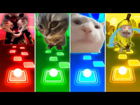 Doorbell Cat vs Chipi Chipi Chapa Chapa Cat vs Vibing Cat vs Banana Cat - Tiles Hop EDM Rush