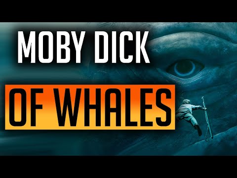 RAID: Shadow Legends | Building a easy to build Unkillable! MOBY DICK | BIGGEST WHALE I HAVE SEEN