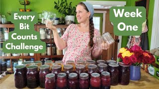 7 Easy Preservation Projects ~ Putting Up Food Every Day for a Month! #everybitcountschallenge