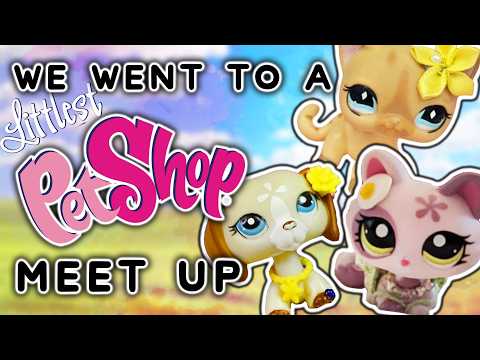 I went to a Littlest Pet Shop Meet up