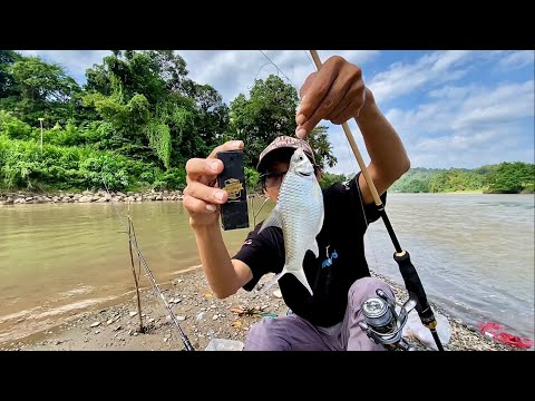 Teknik Jitu Mancing Di Sungai, Pake Umpan ini Dijamin Strike Terus
