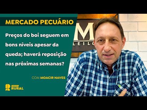 Preços do boi seguem em bons níveis apesar da queda; haverá reposição nas próximas semanas?