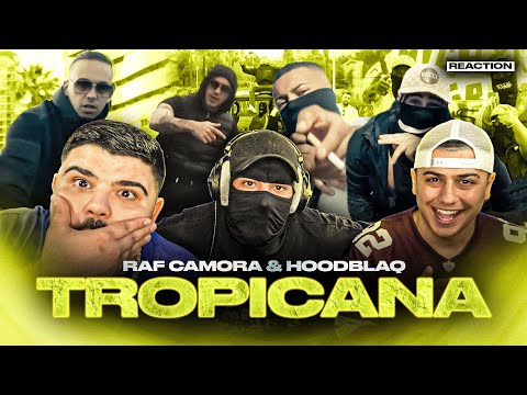 JEDER HOODBLAQ SONG IST EIN HIT! 😍 RAF Camora feat. Hoodblaq - Tropicana | Reaction