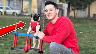 OVO JE MOJ PAS PABLO!