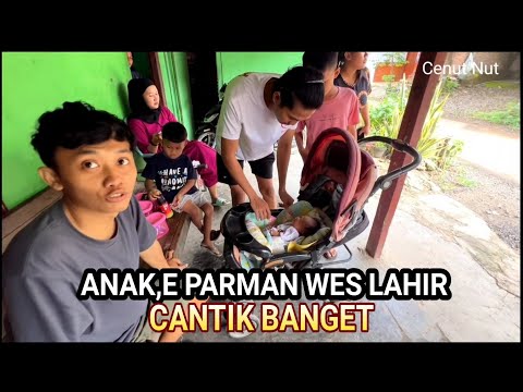 ANAK,E PARMAN WES LAHIR