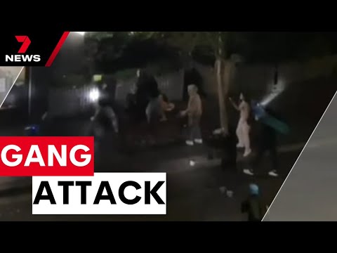 Teenage Gang cause mayhem in Sydney