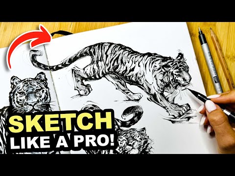 How to Draw ANY Animal with Confidence!