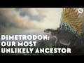Dimetrodon and the Permian Era
