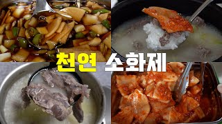 천연 소화제 무를 이용한 맛있는 요리 모음