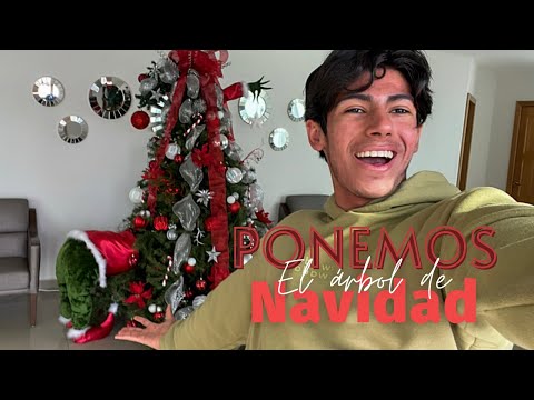 Ponemos el arbolito de navidad // Primer video