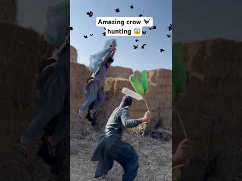 Amazing crow hunting 🐦‍⬛😱 #youtubeshorts #birds #hunting #shorts #viralshorts #animals #farming