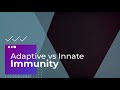 Immune Response and Antibody Production